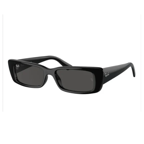 LENTES RAY BAN RB4425 6677/87 TERU